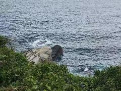 -三亚蜈支洲岛旅游区
