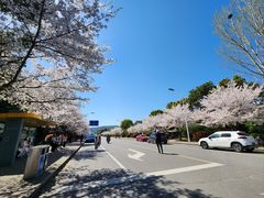 -江南大学(蠡湖校区)