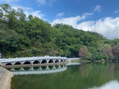 -深圳仙湖植物园