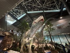 -湖南省地质博物馆