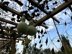 -中国天府农业博览园