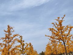 -济南国际园博园