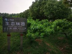 -扬州天乐湖嬉乐谷