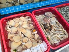 -望海潮海鲜店 特色家常菜(在海一方店)