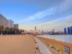 -金沙湖公园