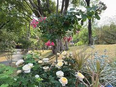 -人民公园(罗湖区)