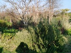 -云漫湖生态度假公园