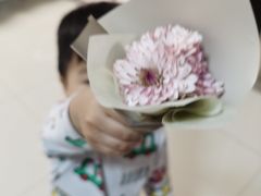 -小苍兰风铃草·礼物蛋糕(沈阳店)