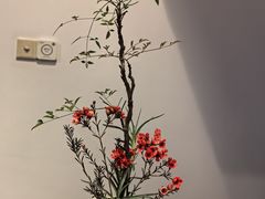 -青藤茶馆(凤起路店)