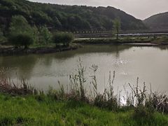 -南泥湾风景区