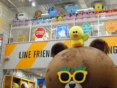-LINE FRIENDS Garosu-gil Flagship Store