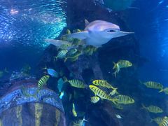 -太平洋海底世界