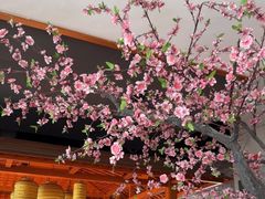 -群英会·三国菜(曹魏古城店)