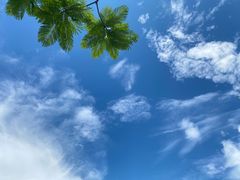 -火炉山森林公园