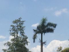 -高村农场