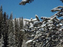 -白马王朗自然风景区