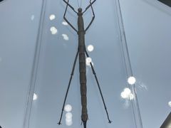 -上海昆虫博物馆