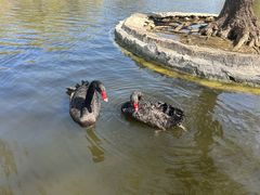 -石家庄市动物园