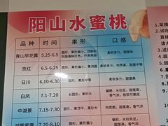 -老袁家蜜桃农场·阳山水蜜桃