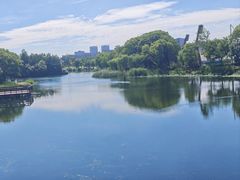-新江湾城公园