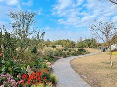 -上海长兴岛郊野公园