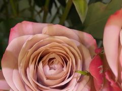 -花心思鲜花店(武昌徐东店)