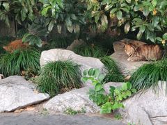 -西湖外事游船(花港观鱼码头)