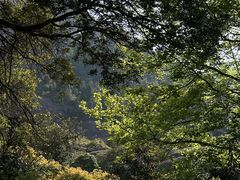 -大罗山风景区