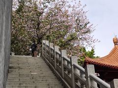 -南沙天后宫景区