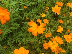 -梦幻奥陶纪景区