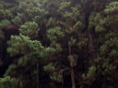 -井冈山革命烈士陵园