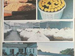 -苏州市吴中区光福窑上花果蜜饯厂