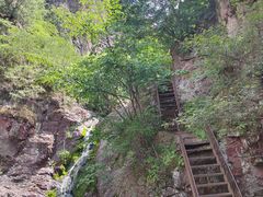 -云岫谷游猎自然风景区