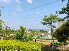 -紫颐香薰山谷景区