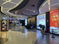 -卢米埃影城(住总万科杜比全景声激光店)