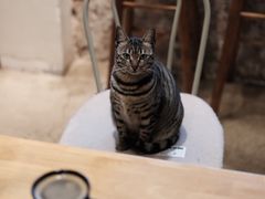 -青莯_Percher Coffee Shop(皮市街店)
