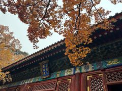 -香山公园