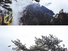 -老界岭旅游度假区