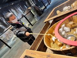 -酷嗒动物文化乐园(cutezoo西溪乐天城店)