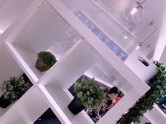 -813芭依珊 BAESAn(汇港购物中心店)