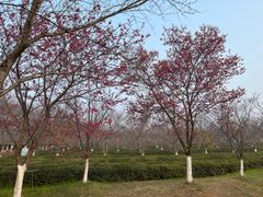 -凤凰沟景区
