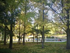 -元大都城垣遗址公园