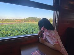 -道林古镇