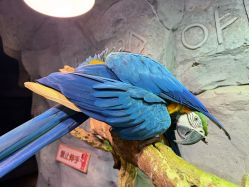 -Zoolung Zoolung动物主题公园(海信广场店)