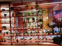 -二酉书店TOYOU BOOKS