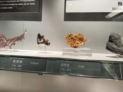 -中国地质博物馆