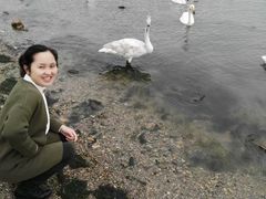 -烟墩角天鹅湖