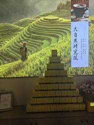 -头道汤头疗养生馆