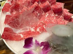 -额尔敦传统涮(公园西路店)