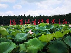 -毛泽东才溪乡调查旧址景区